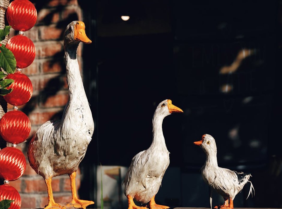 Signature Styles and Trends