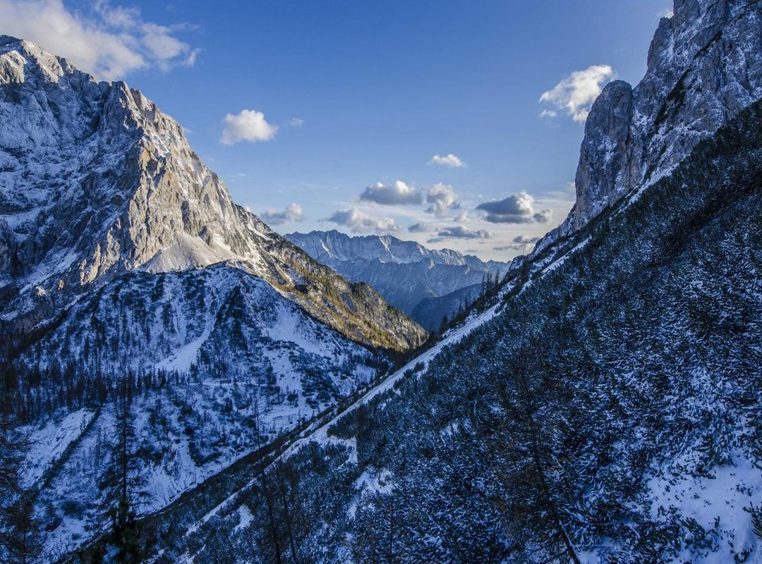 Frequently Asked Questions (FAQs)