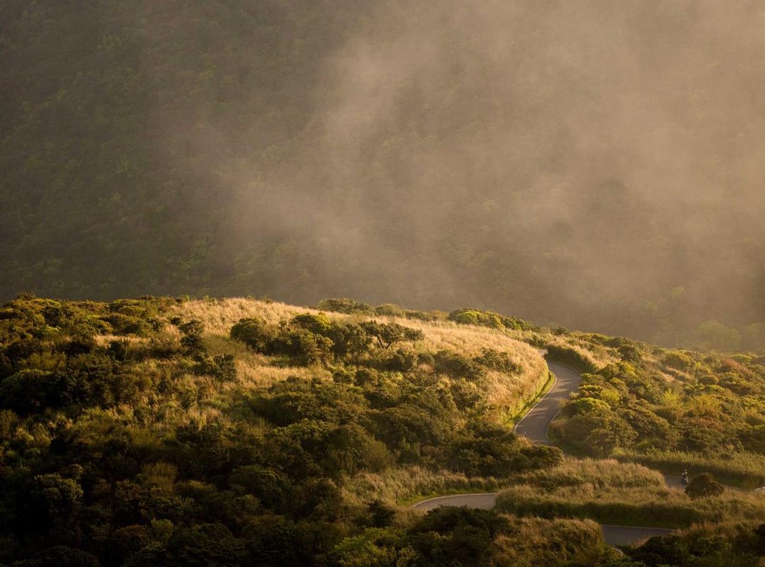 The Essential Care Routine: Light, Water, and Soil