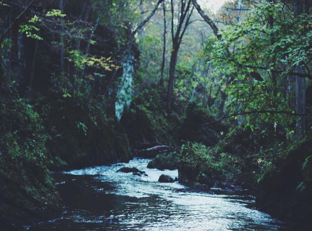 FAQs: Common Questions About Lanka Gossip and Hot News