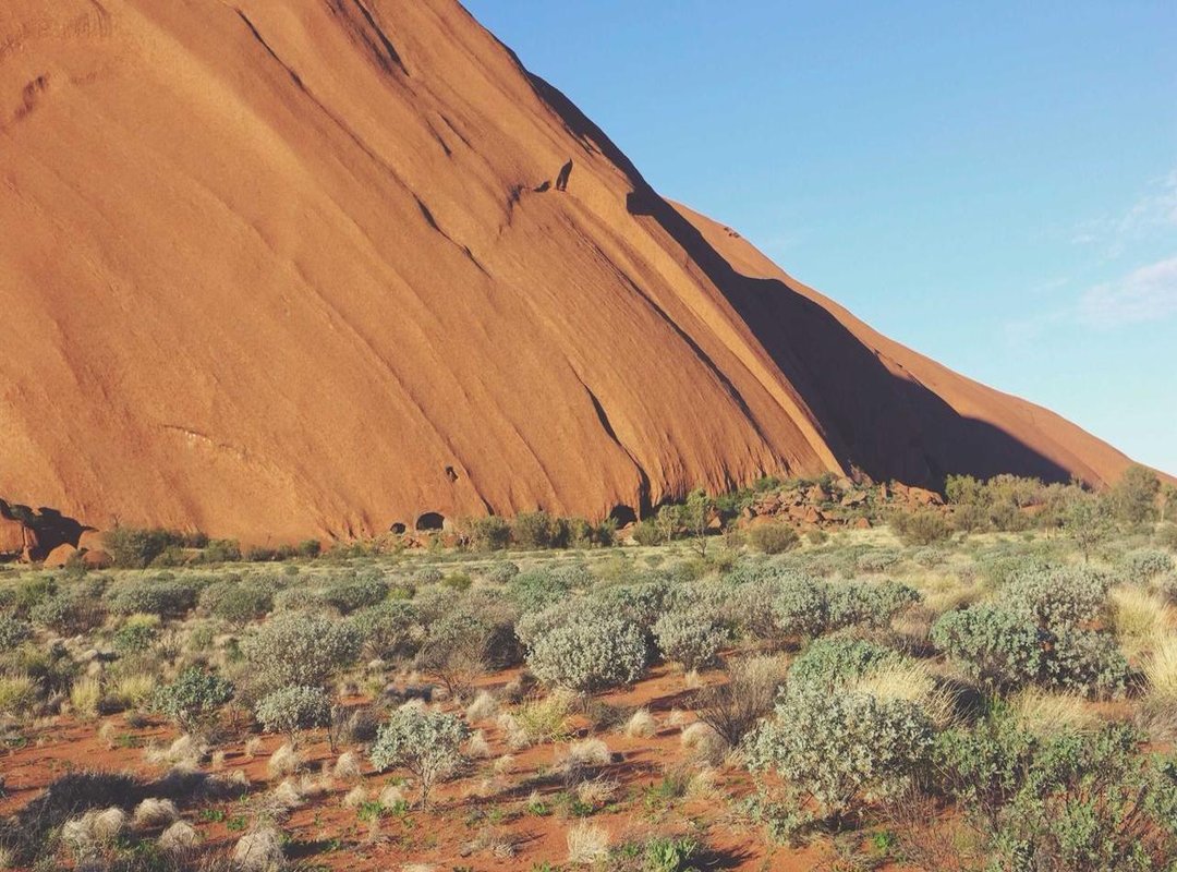 Beyond the Page: Creative Crafts and Activities