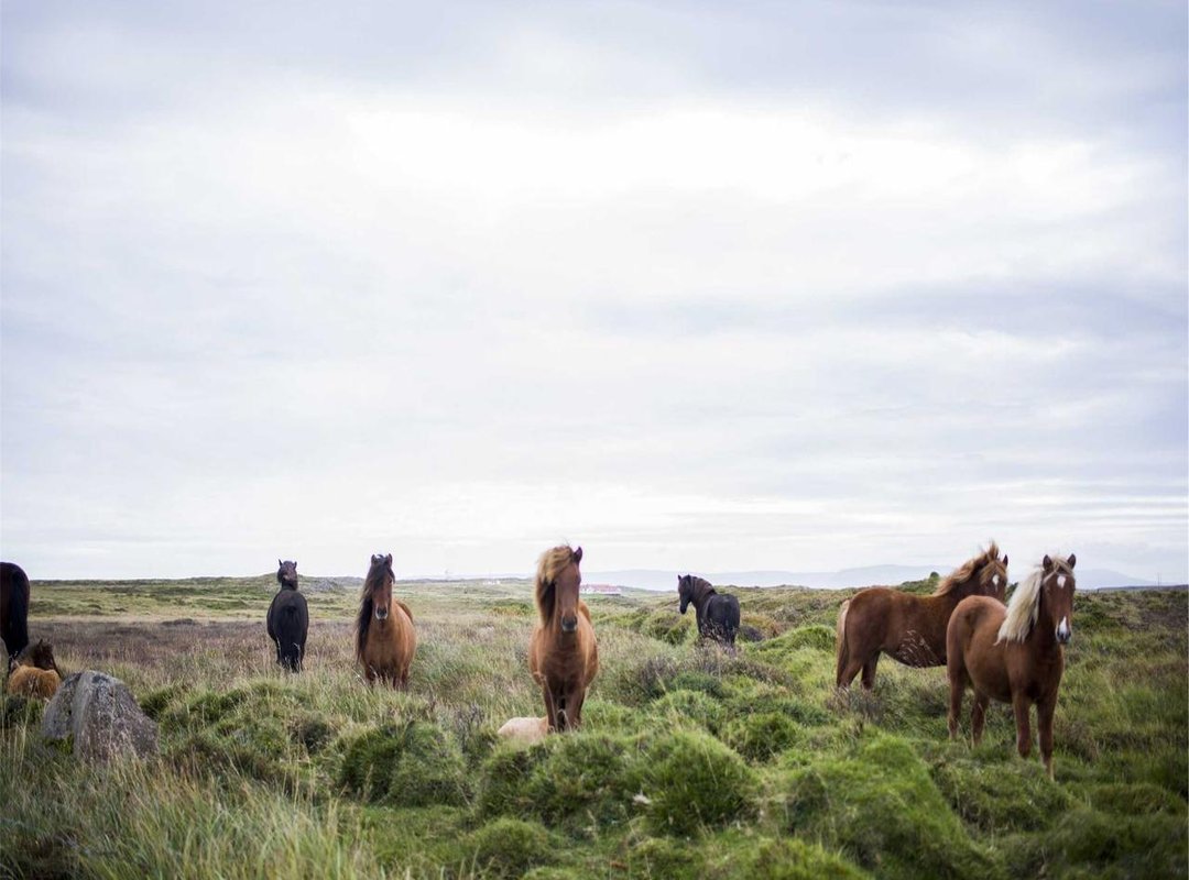 Getting Started: A Step-by-Step Walkthrough