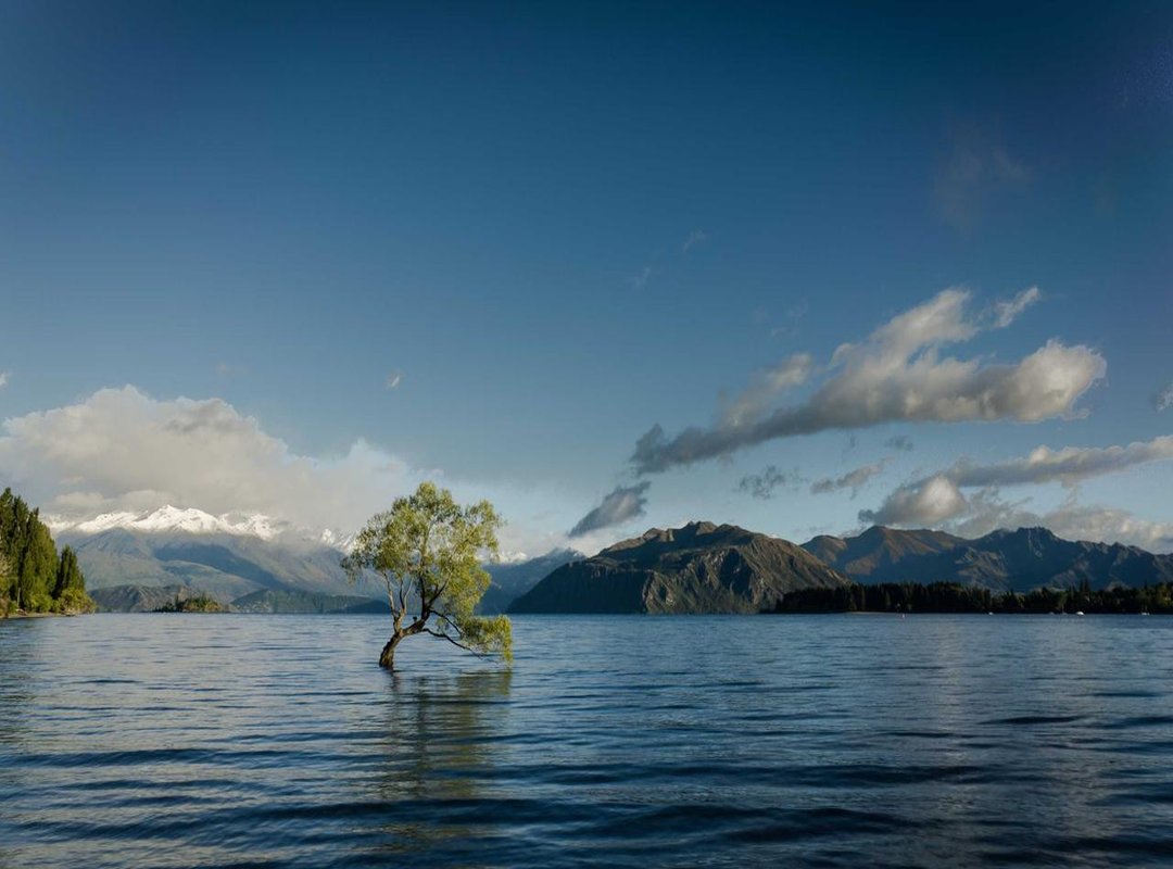 What to Order: A Deep Dive into the Food and Drinks Menu