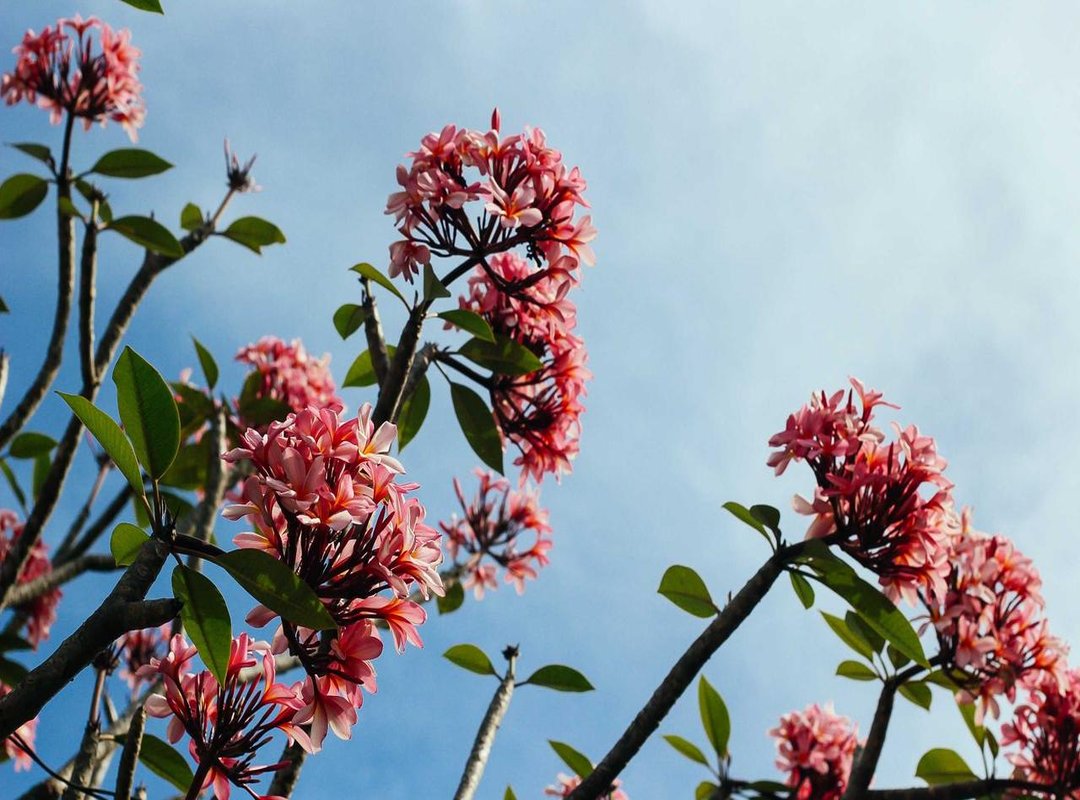 Beyond the Heart: How to Sketch Other Meaningful Designs